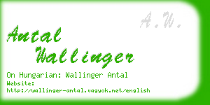 antal wallinger business card